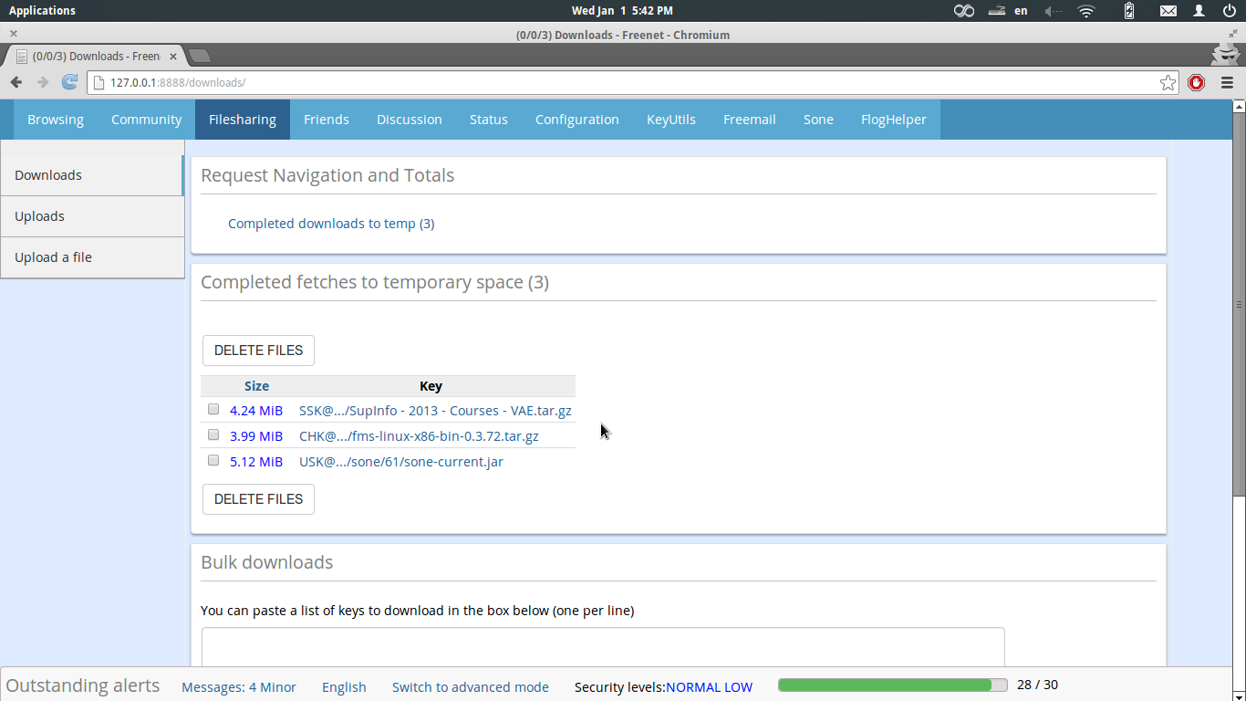 File Sharing Interface
